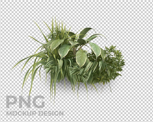 diseño de maqueta aislada de hojas de palma tropical