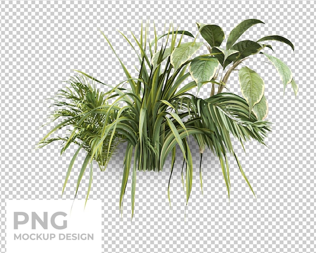 diseño de maqueta aislada de hojas de palma tropical