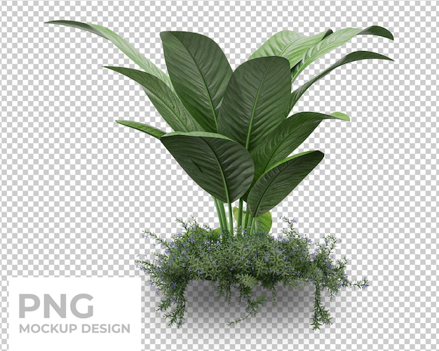 Diseño de maqueta aislada de hojas de palma tropical