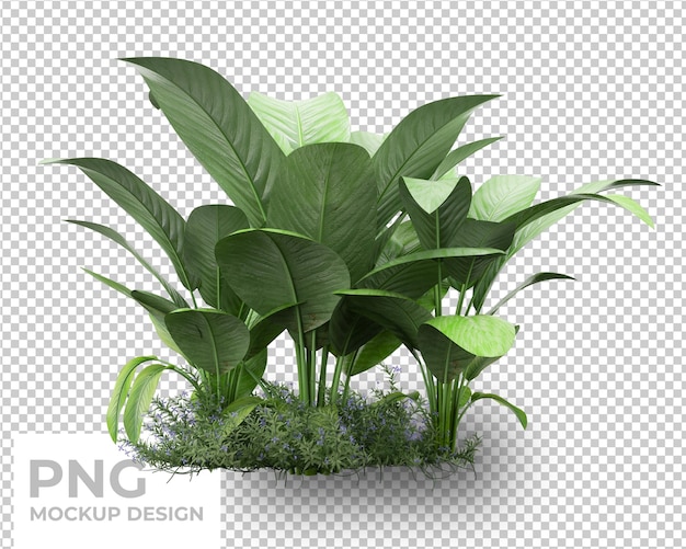 Diseño de maqueta aislada de hojas de palma tropical