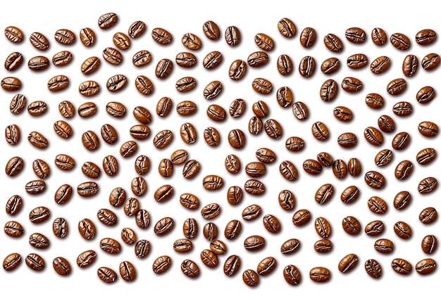 Diseño de patrones de granos de café