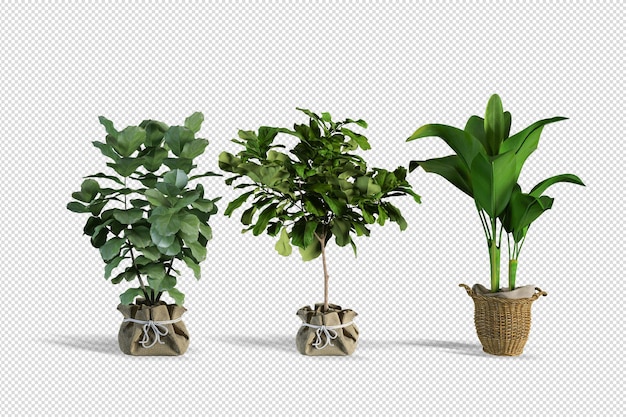 Diseño de plantas en varios ángulos creador de escena.