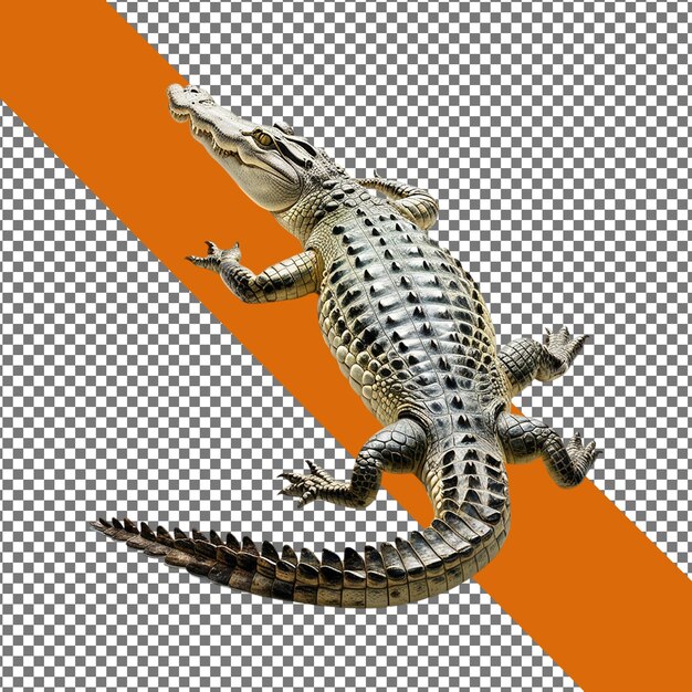 Diseño PSD editable de un cocodrilo realista y colorido en un fondo transparente aislado