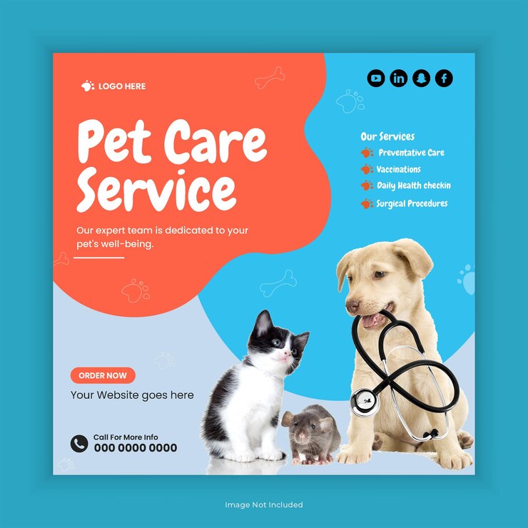 PSD diseño de publicaciones en redes sociales sobre el cuidado de las mascotas o servicio de cuidado de mascotas plantilla de folleto cuadrado de instagram