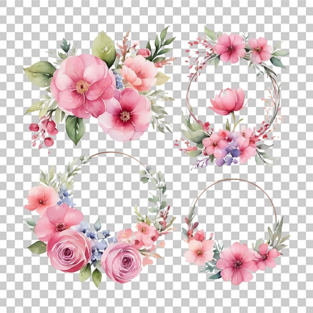 Diseño de ramos de flores y anillos de acuarela aislados sobre un fondo transparente