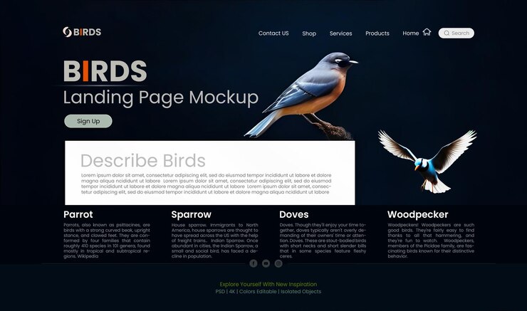 Diseño del sitio web corporativo esto es para la página principal del sitio web de Birds plantilla de página web PSD fácilmente editable