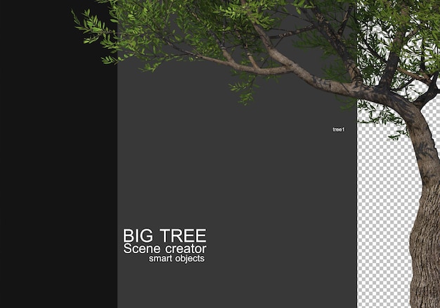 Display a large tree foreground rendering