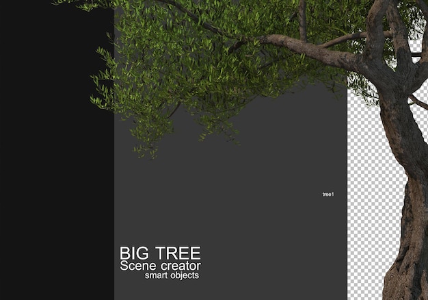 Display a large tree foreground rendering