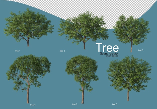 Disposición de varios tipos de árboles en diferentes colores.