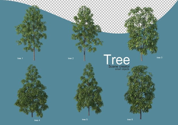 Disposición de varios tipos de árboles en diferentes colores.