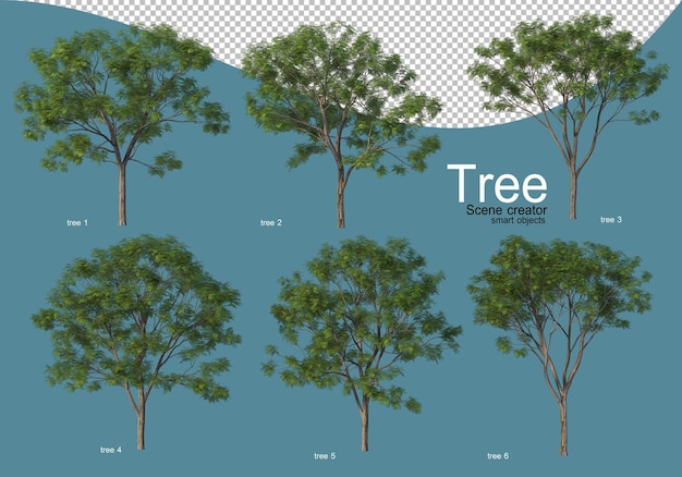 PSD disposición de varios tipos de árboles en diferentes colores.