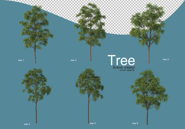 PSD disposición de varios tipos de árboles en diferentes colores.