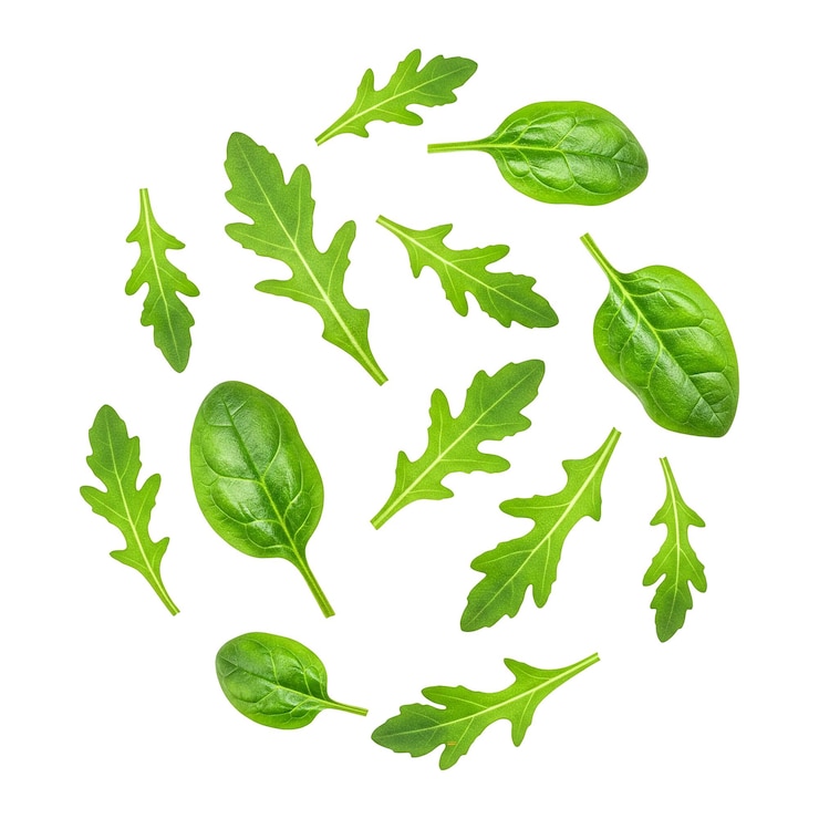 PSD disposizione delle foglie fresche di arugula e di spinaci