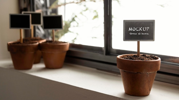 Disposizione di giardinaggio domestico con mock-up di cornici di piante