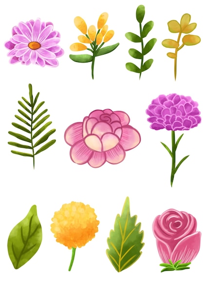 Disposizione floreale a clipart con diverse forme di fiori e foglie