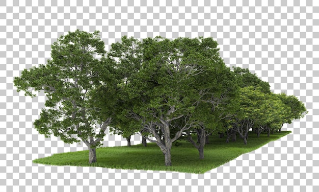 Disposizione Forrest su sfondo trasparente 3d rendering illustrazione