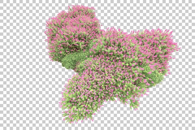 Disposizione orizzontale isolata su sfondo trasparente 3d rendering illustrazione