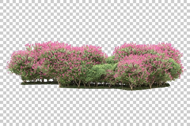 Disposizione orizzontale isolata su sfondo trasparente 3d rendering illustrazione