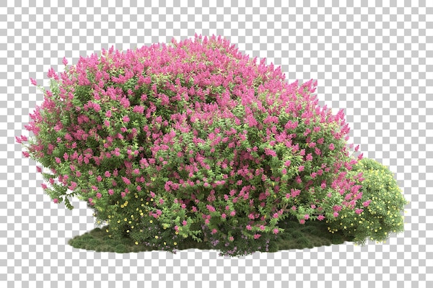 Disposizione orizzontale isolata su sfondo trasparente 3d rendering illustrazione