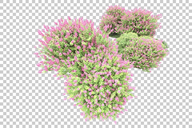 Disposizione orizzontale isolata su sfondo trasparente 3d rendering illustrazione