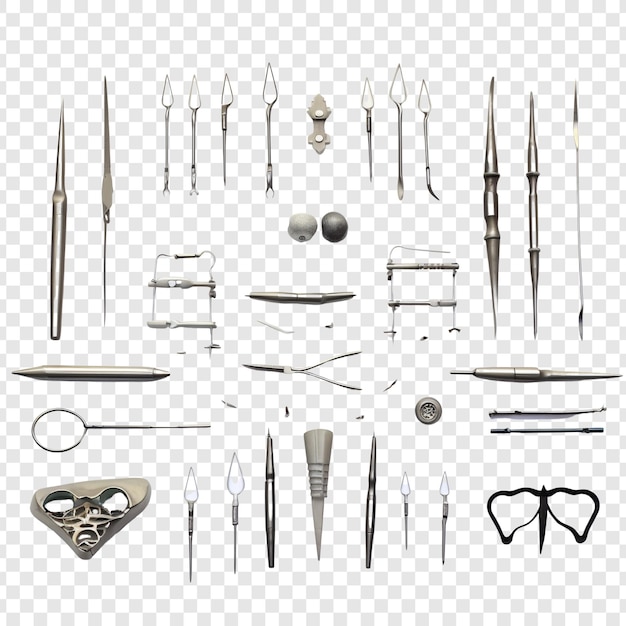 Dissection Isolée Sur Fond Transparent