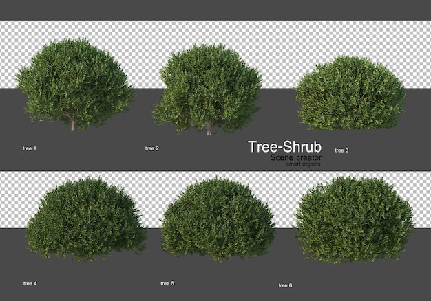 Divers arbres et arbustes