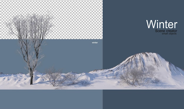 divers arbres en hiver