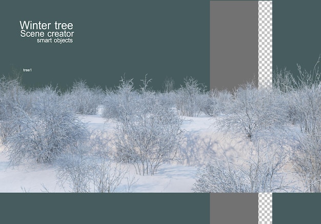 PSD divers arbres et plantes en hiver