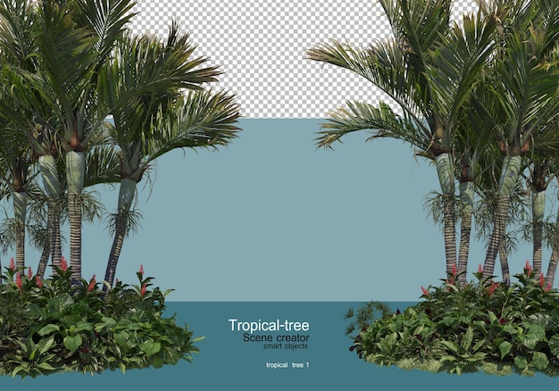 Divers Types D'arbres Tropicaux