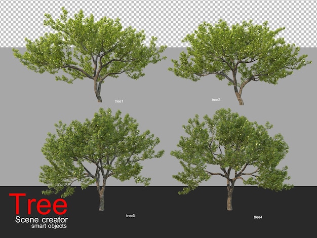 PSD divers types d'arbres