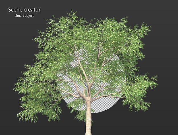 PSD divers types de branches d'arbres plantes buissons arbustes et petites plantes rendu isolé