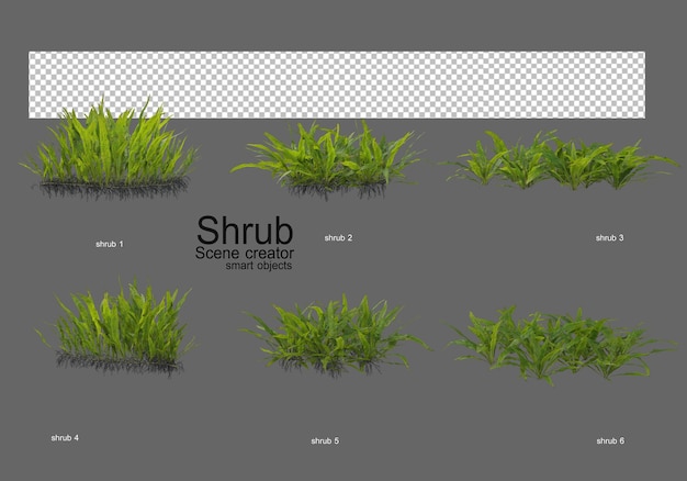 PSD divers types de buissons pour l'aménagement paysager