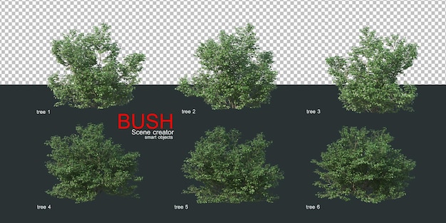 PSD divers types de buissons