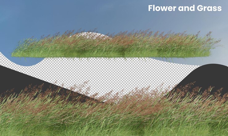 PSD divers types de fleurs, d'herbes, de buissons, d'arbustes et de petites plantes isolées
