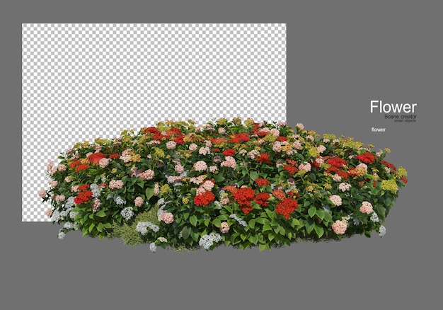 PSD divers types de fleurs