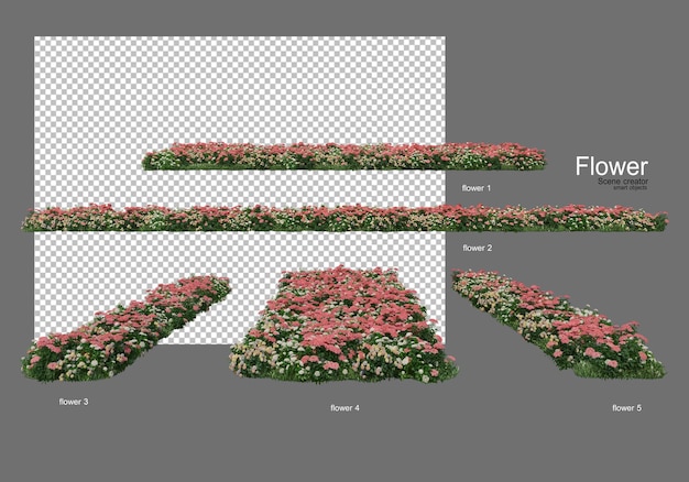 PSD divers types de fleurs