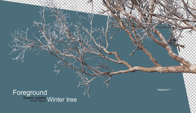 PSD diverses conceptions d'arbres d'hiver isolées