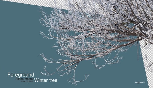 Diverses conceptions d'arbres d'hiver isolées