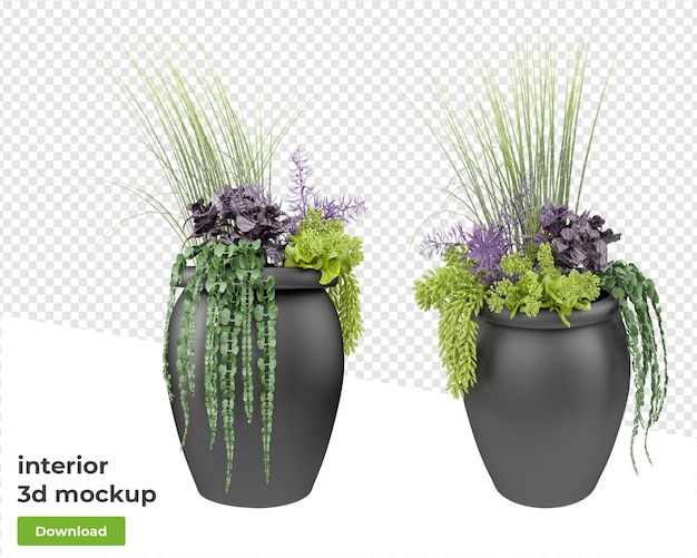 Diverses Plantes De Décoration En Pot De Rendu 3d