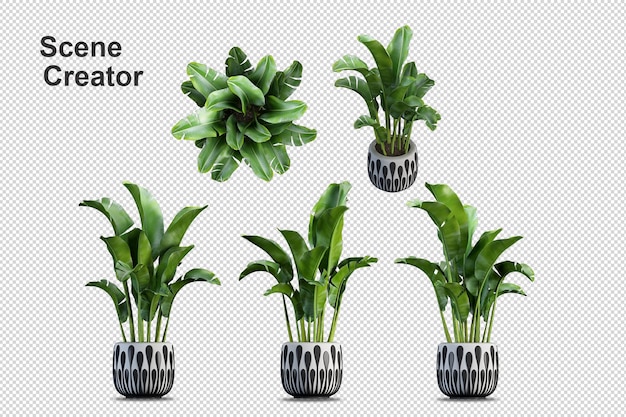 Diversi tipi di banana tree rendering 3d