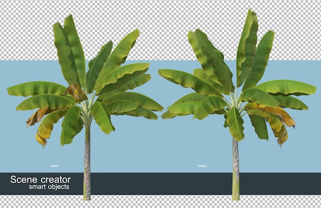 Diversi tipi di banana tree rendering 3D