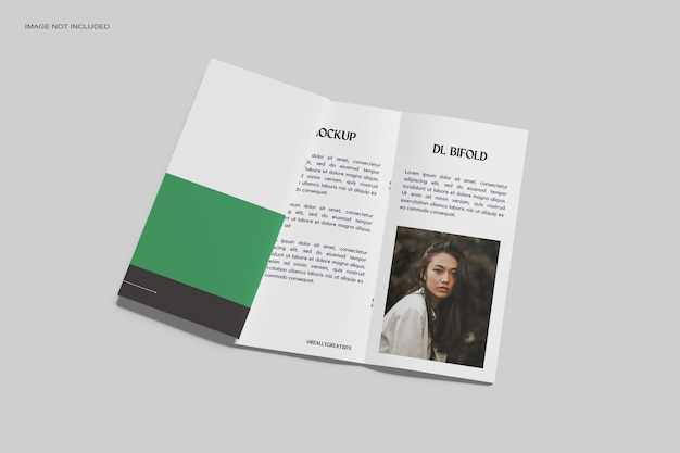 DL Bifold Broschürenmodell