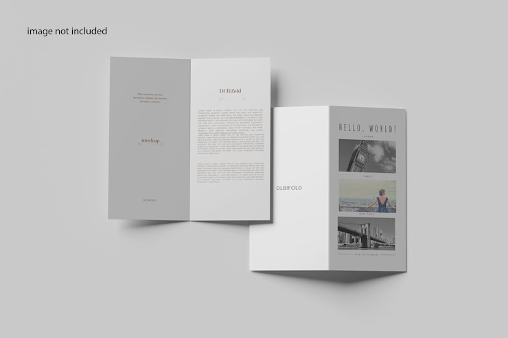 PSD dl bifold mockup