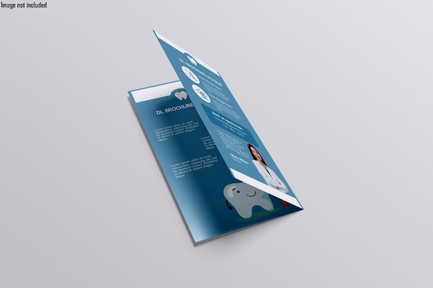DL Brochure Mockup