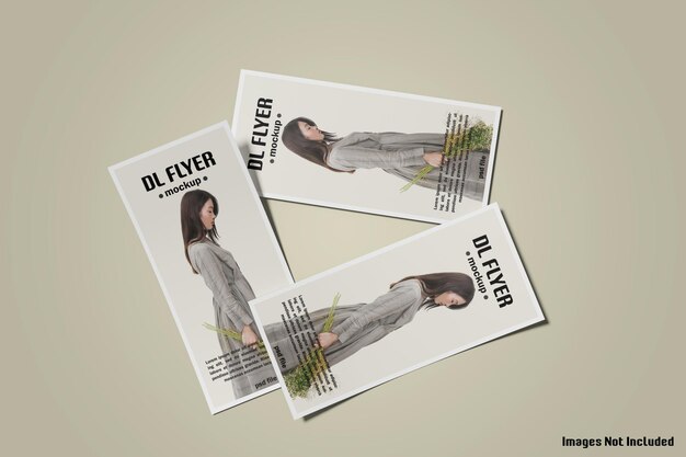 DL Flyer Maqueta