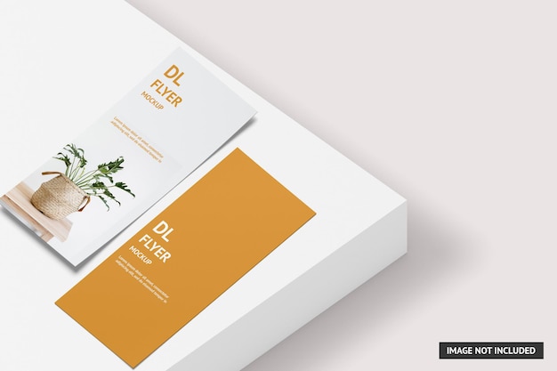 DL Flyer Mockup Design