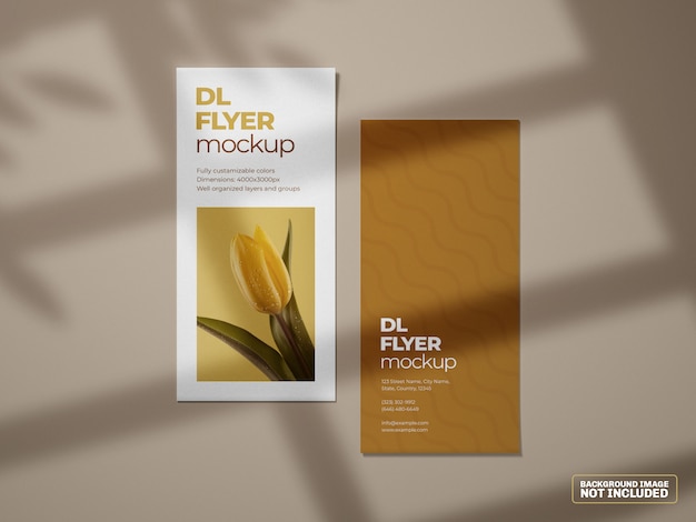 PSD dl flyer mockup