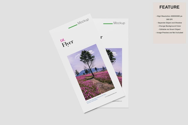 DL Flyer Mockup