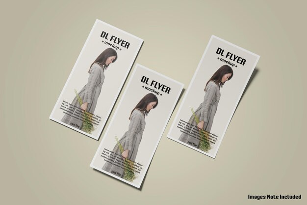 Dl-Flyer-Modell