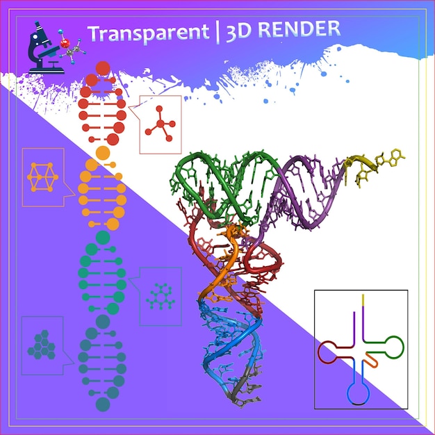 DNA-Biochemie Moleküle Struktur Proteinen Nukleinsäure Mikrobiologie Medizinische Wissenschaft